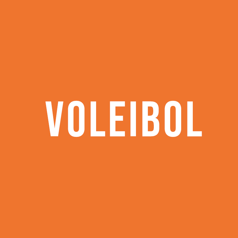 VOLEIBOL